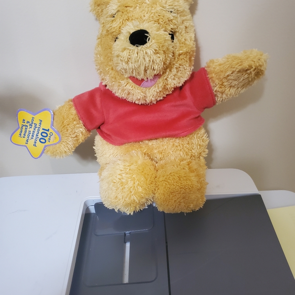 RARE Fisher‎ Price Disney Winnie Pooh Know Your Name Interactive Stuffed Bear